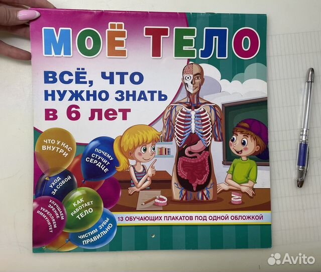 Обучающие плакаты