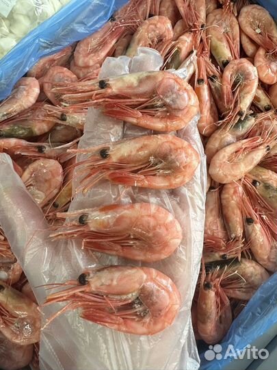 Северные креветки 90+ Мурманск