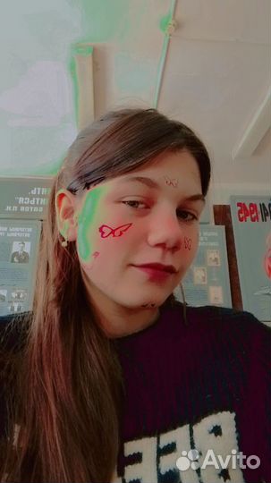 Выгул собак