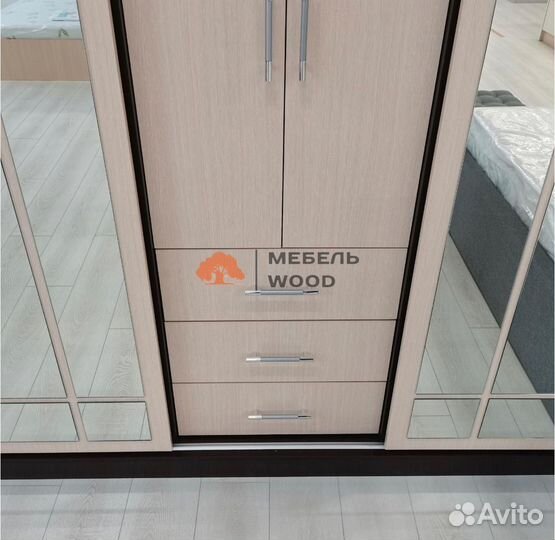 Шкаф купе Маэстро