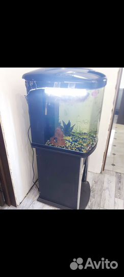 Аквариум