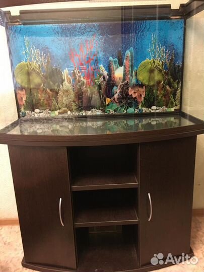 Аквариум с тумбой 200 литров