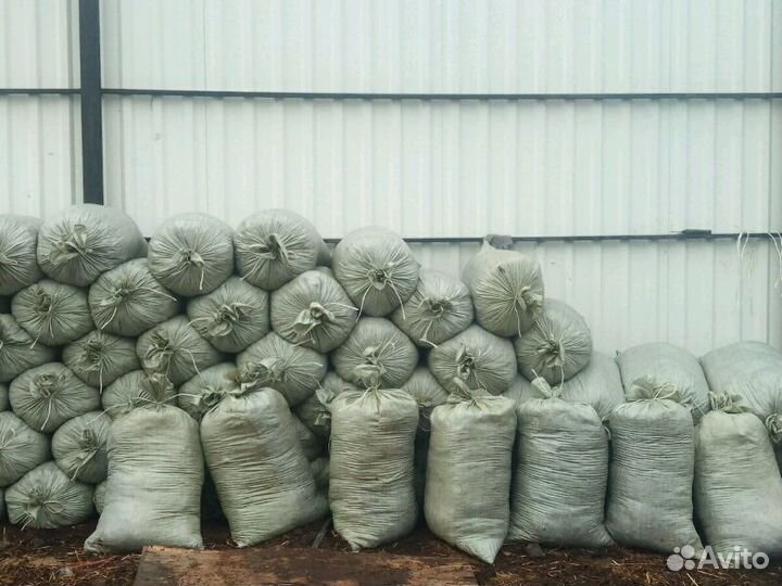 Конский навоз