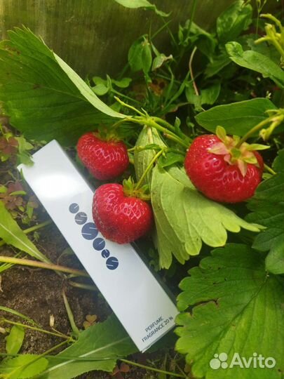 Духи женские Essens