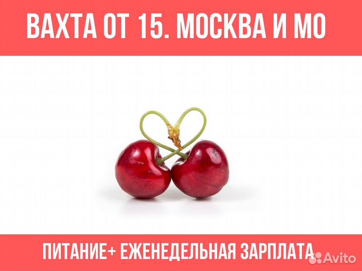 Сбощики вишни От 15 смен Питание Ставка Фикс Жильё