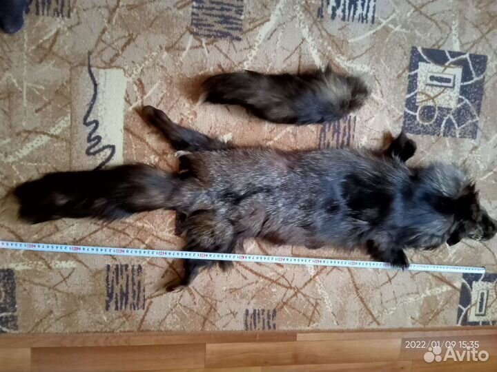 Шкура чернобурки