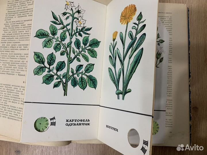 Книга Календарь юн. натуралиста1956год