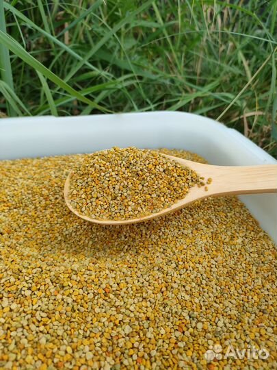 Пыльца, разного цвета, важно - подсушенная