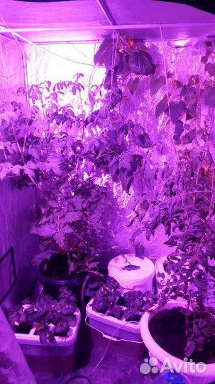 Удобрения и оборудование для гидропоники