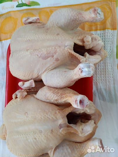 Мясо домашнего бройлера