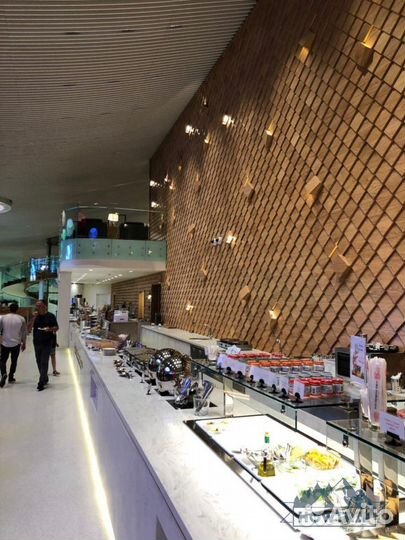 Бизнес залы vip аэропорт