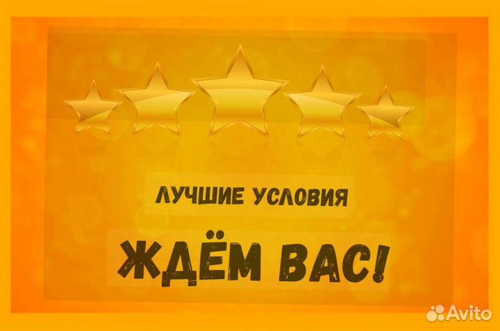 Сортировщик Еженедельный аванс Спецодежда М/Ж