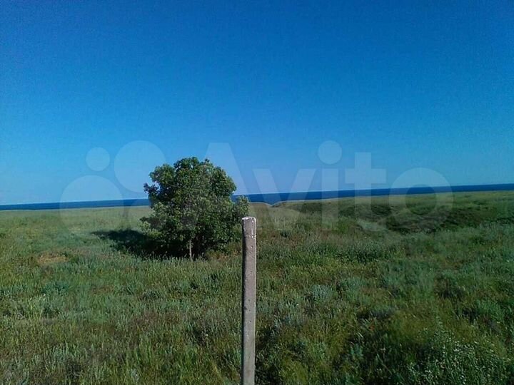 Участок 100 сот. (СНТ, ДНП)