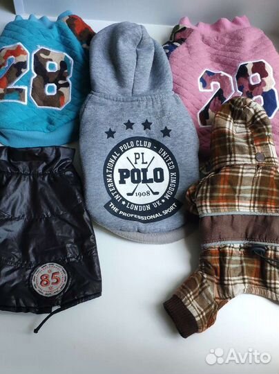 Одежда для собак мелких пород пакетом