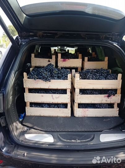 Домашний виноградный сок