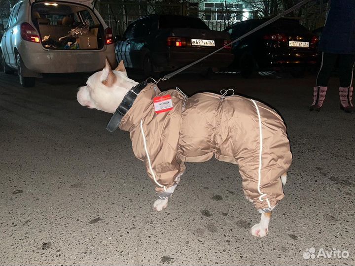 Комбинезон одежда для стаффорда, лабрадора крупных