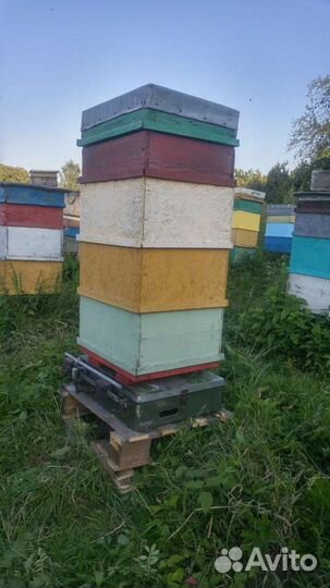 Мёд вкусный, прополис