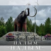 Ищем партнёра в готовый,красивый бизнес, Надым