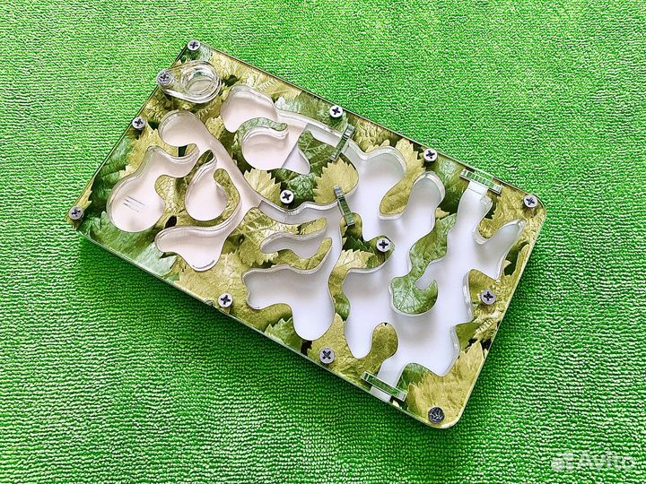 Муравьиная ферма