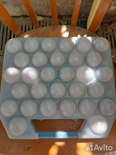 Ячейки контейнер для яиц