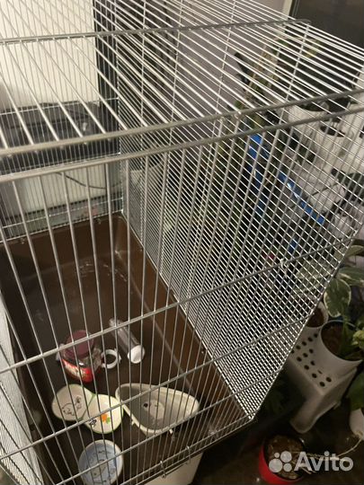 Клетка для грызунов большая