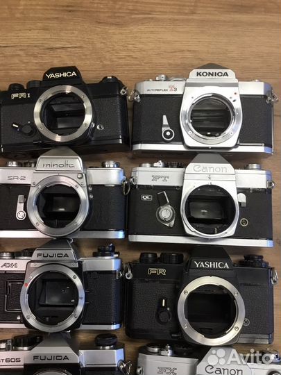 Konica,Canon,Minolta,Yashica,Fujica