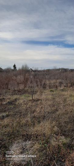 Участок 8 сот. (СНТ, ДНП)