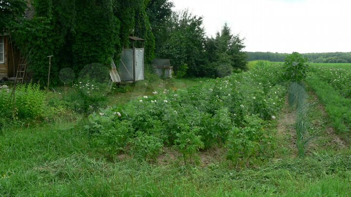 Участок 25 сот. (ИЖС)