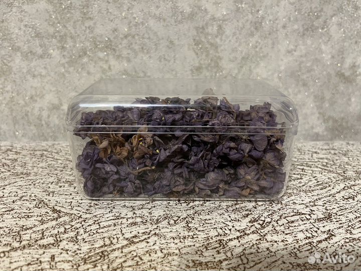 Ракушки, сухоцветы, камушки для творчества