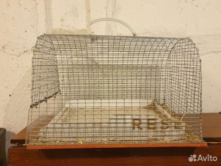 Клетка для животных