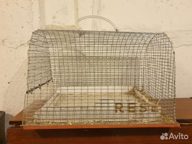 Клетка для животных