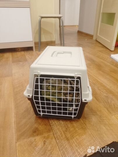 Переноска для животных бу