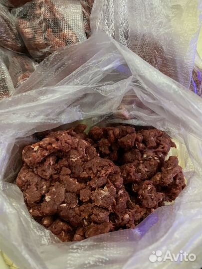 Икра щучья и фарш из лося