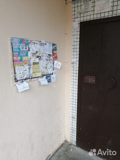 Промоутер-расклейщик ежедневные выплаты