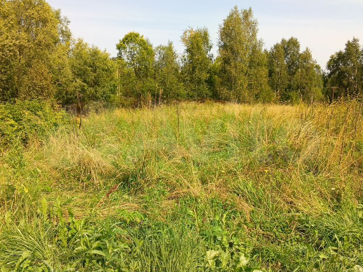 Участок 9,8 сот. (ИЖС)