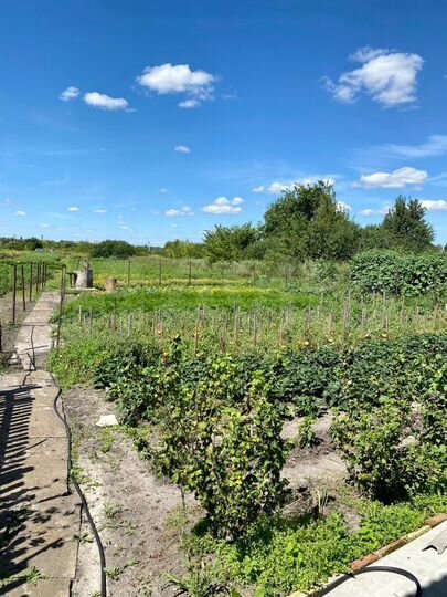 Дом 34,2 м² на участке 17,7 сот.