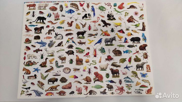 Большой атлас животных