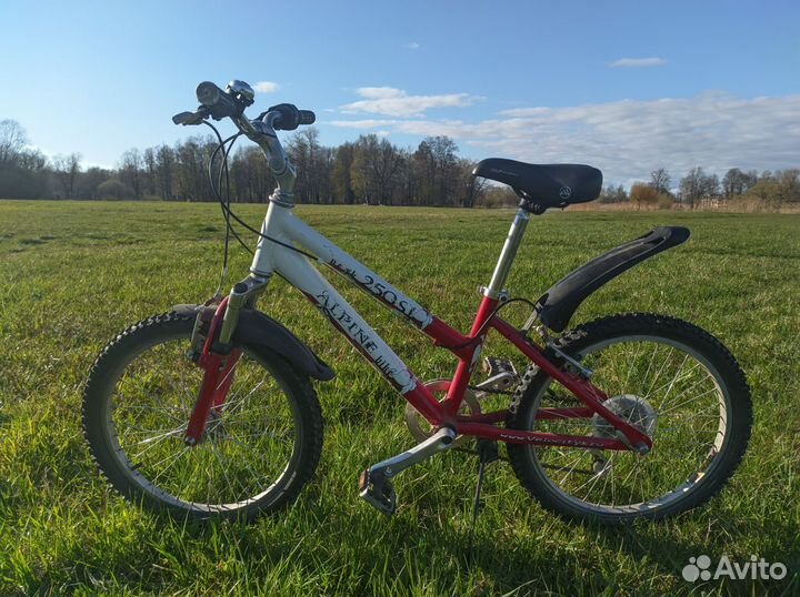Велосипед детский Alpin Bike 250SL