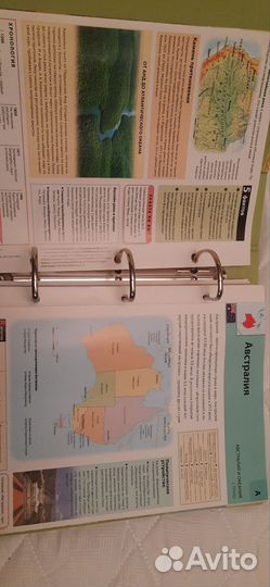 Мир на ладони