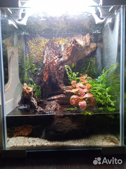 Оформление аквариумов/палюдариумов/флорариумов