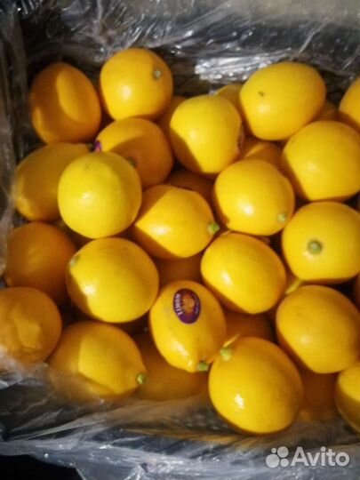 Лимон узбекский