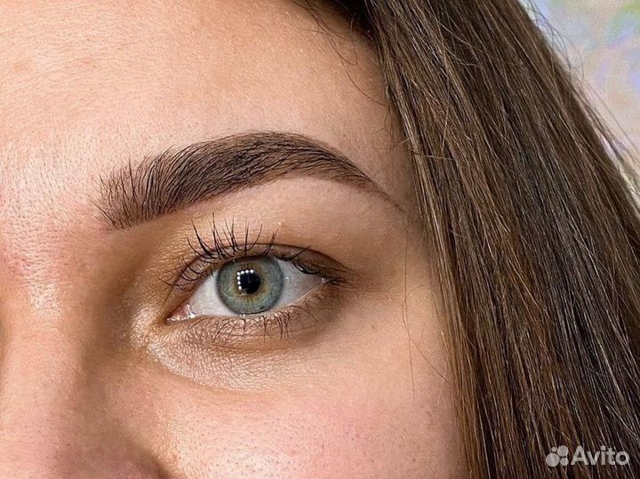 Обучение Мастер-бровист