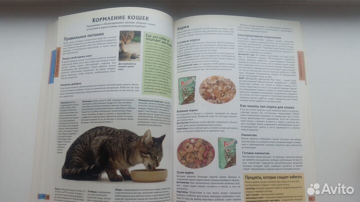 Всё о кошках. Р.Уотсон