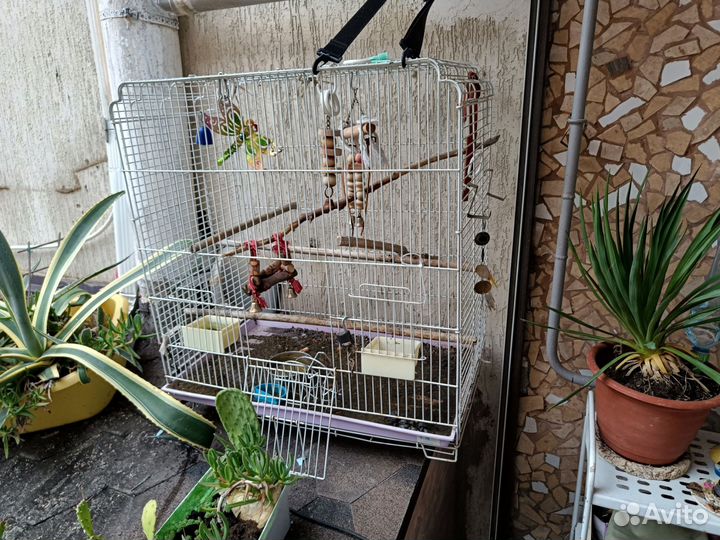 Клетка для среднего и крупного попугая