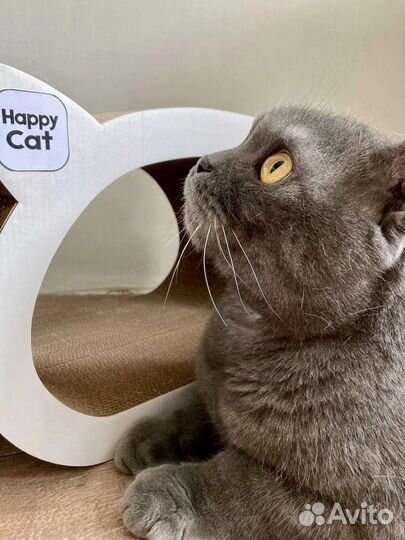 Когтеточка домик для кошки, лежанка новая