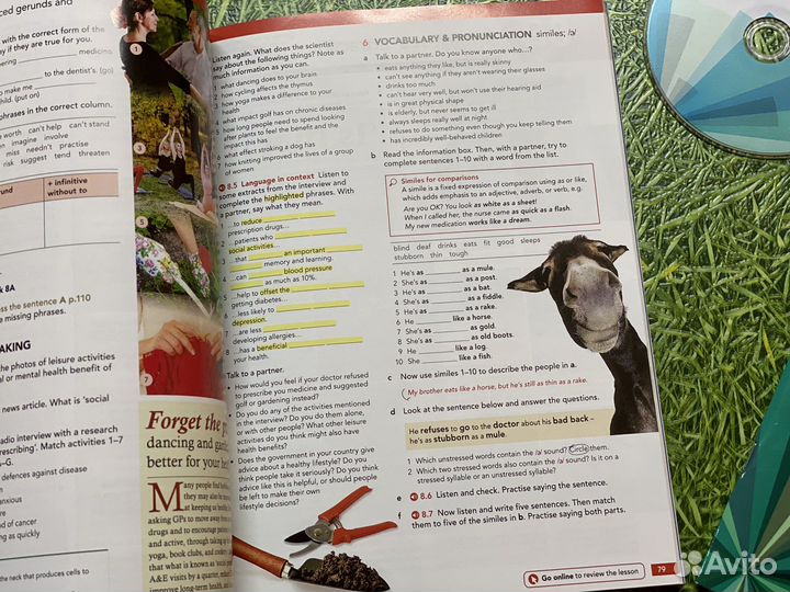 English File Advanced Fourth Edition, Новые