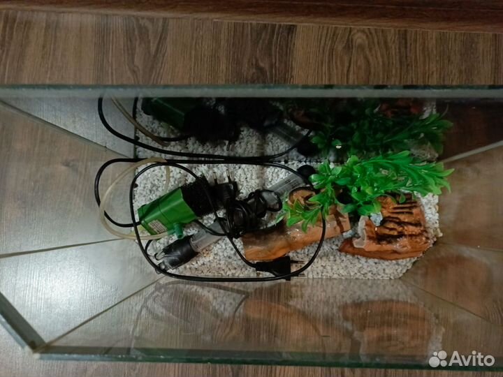 Аквариум 20 литров