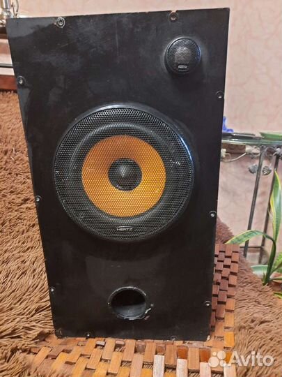 Акустическая система