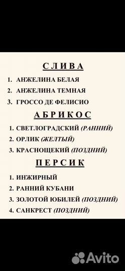 Саженцы плодовых и косточковых деревьев