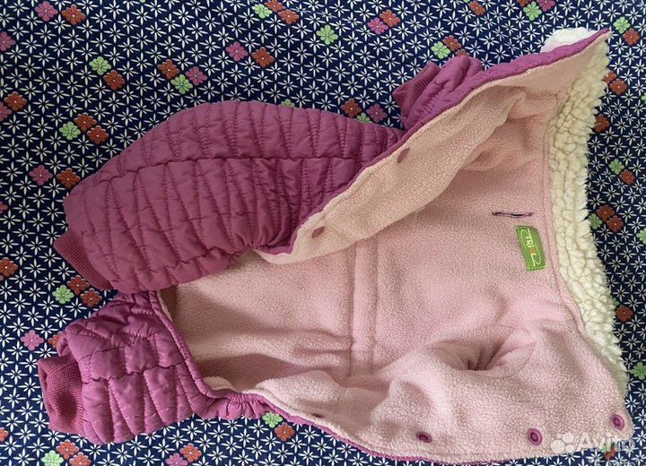 Одежды для собак мопсов,тойтерьеров